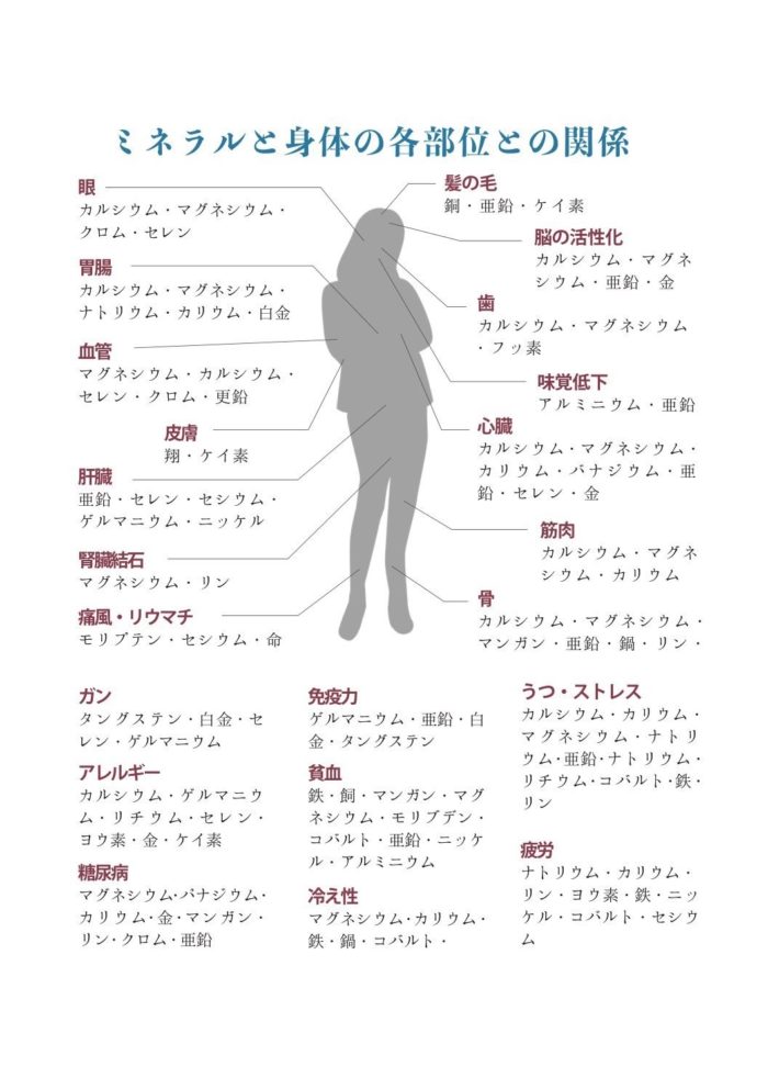 LifeWaterウォーターサーバー初回セット - ミネラル命水・地球生活